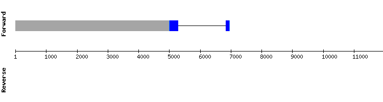 gene structure