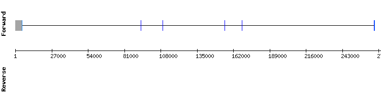 gene structure