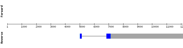 gene structure