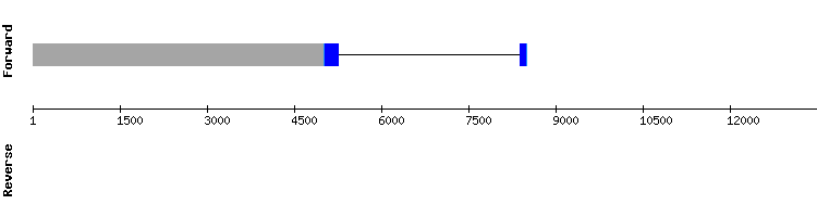 gene structure