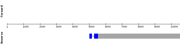 gene structure