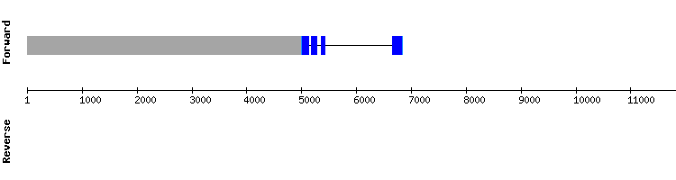 gene structure