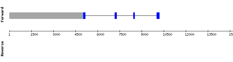 gene structure