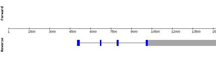 gene structure