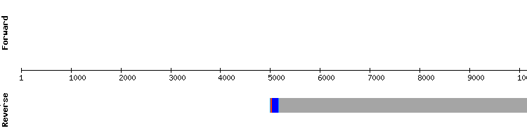 gene structure