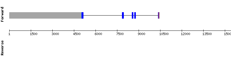 gene structure