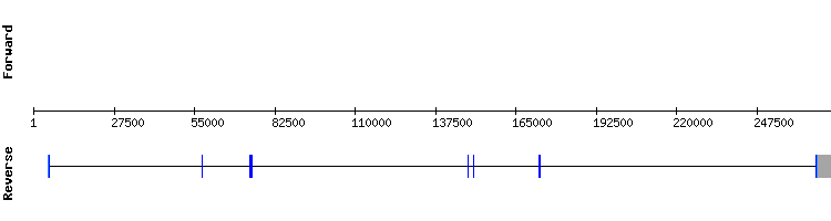 gene structure