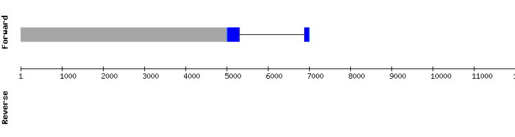 gene structure