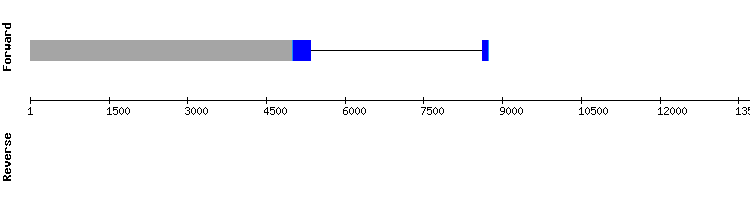 gene structure