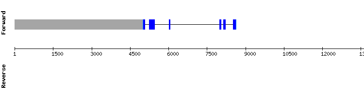 gene structure
