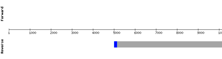 gene structure