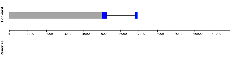 gene structure