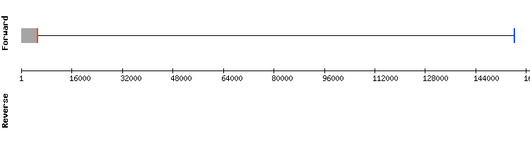 gene structure