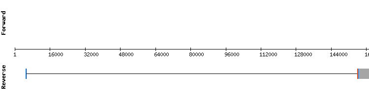 gene structure