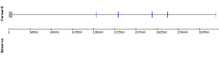 gene structure