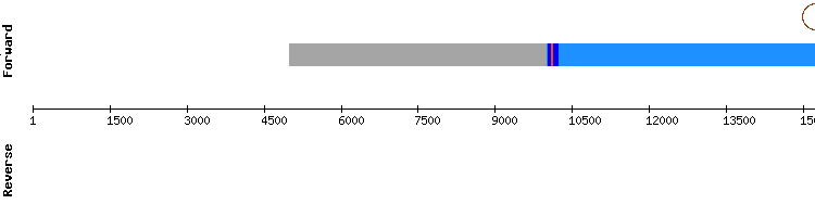 gene structure