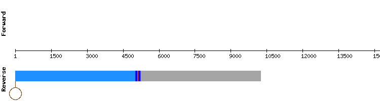 gene structure