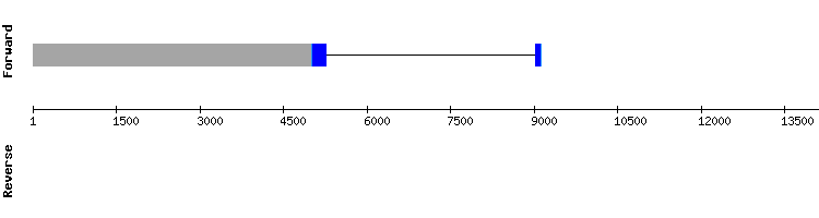 gene structure