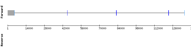 gene structure