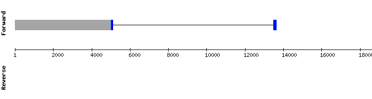 gene structure