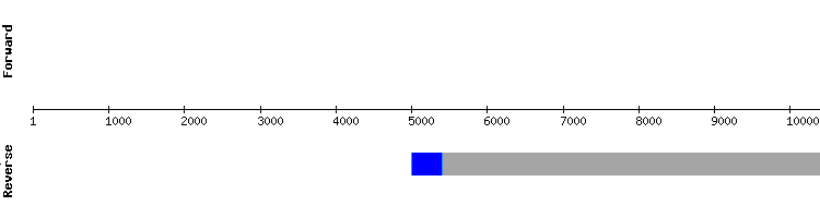 gene structure