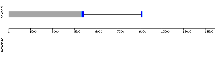 gene structure