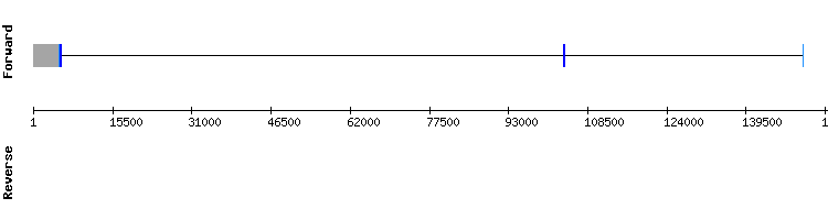gene structure