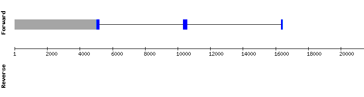gene structure