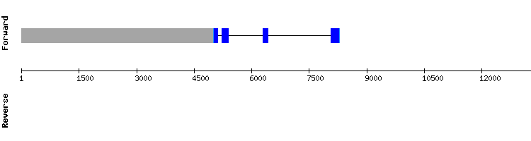 gene structure