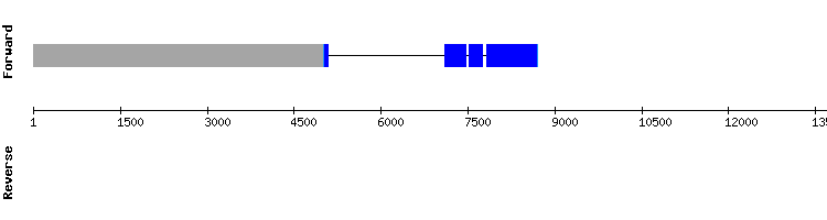 gene structure