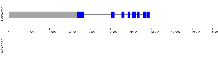 gene structure