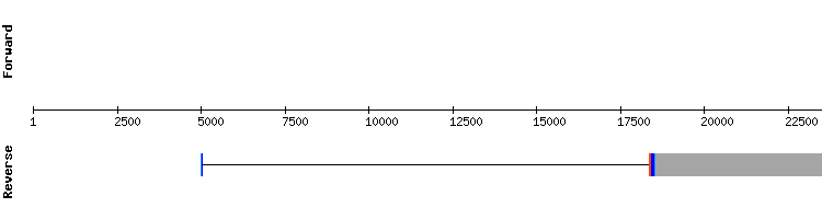 gene structure