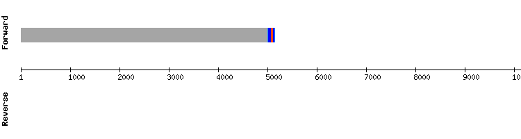gene structure