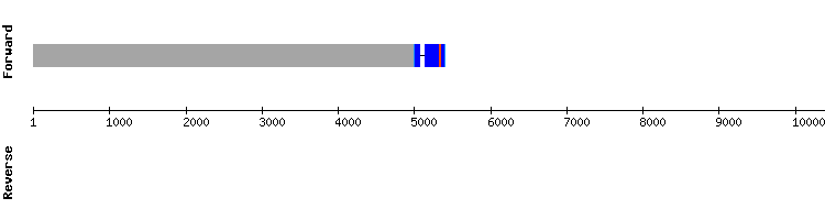 gene structure