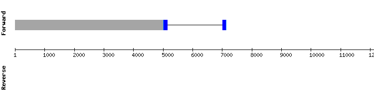 gene structure