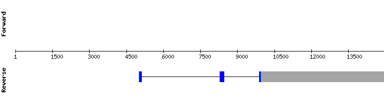 gene structure