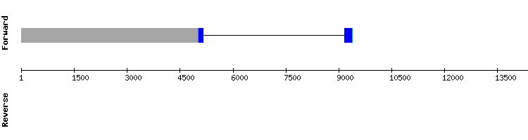gene structure