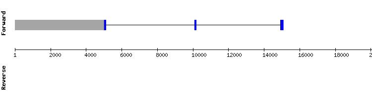 gene structure