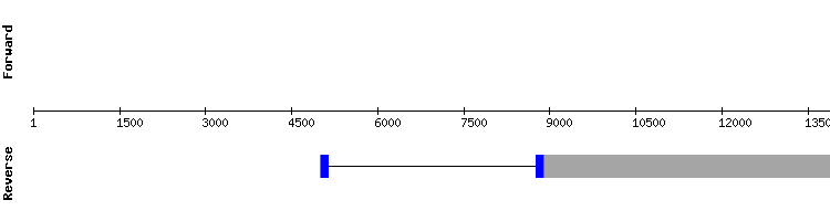 gene structure