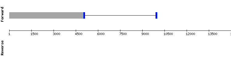 gene structure