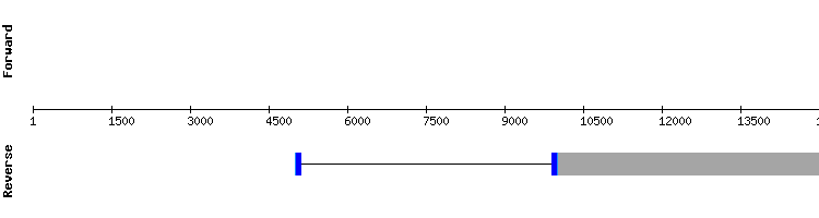 gene structure