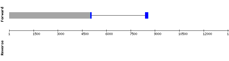 gene structure