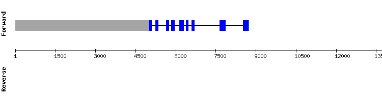 gene structure