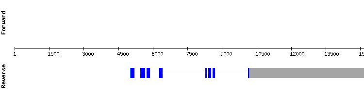gene structure
