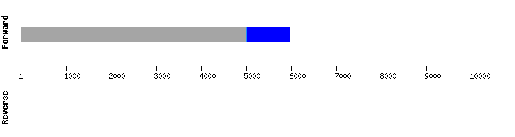 gene structure