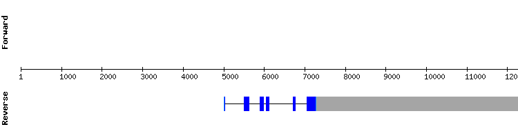 gene structure