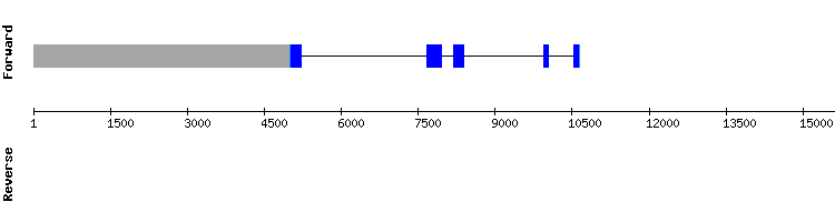 gene structure