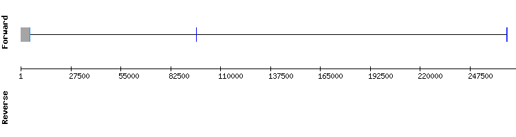 gene structure