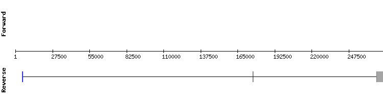gene structure
