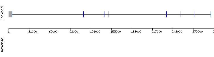 gene structure